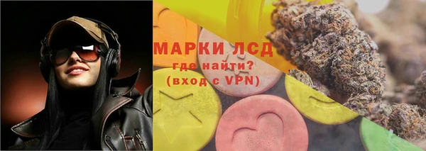 прущие грибы Богородск