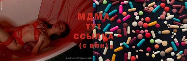 прущие грибы Богородск