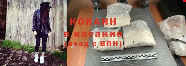 прущие грибы Богородск