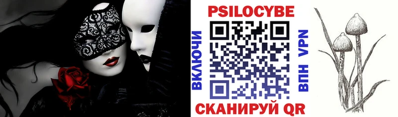 Псилоцибиновые грибы Psilocybine cubensis  Валуйки 